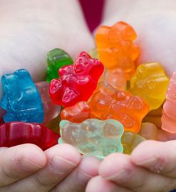 Everything You Need to Know Before Buying CBG Vegan Gummies