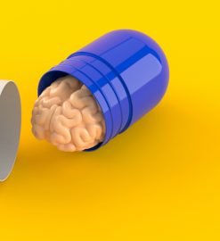 Everything You Need To Know About The Best Nootropics
