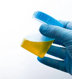 Why Do People Use Phoney Urine for Drug Tests?