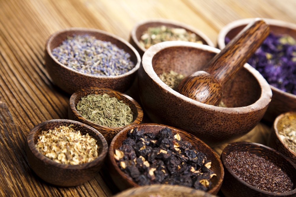 How Dr. Joseph Mercola is changing the way we think about health using natural therapies