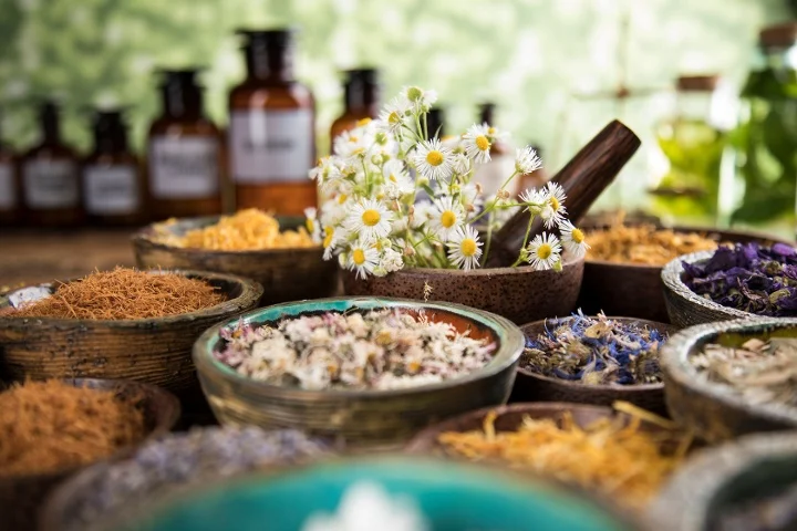 How Dr. Joseph Mercola is Shaping the Future of Natural Medicine?