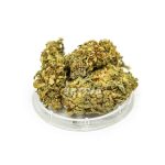CBD