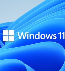 How Do You Find Reliable Vendors for Purchasing Windows 11 Keys?