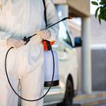 Arizona ants pest control