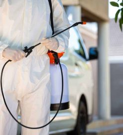 Ensuring a Pest-Free Haven: The Importance of Professional Pest Control Treatment
