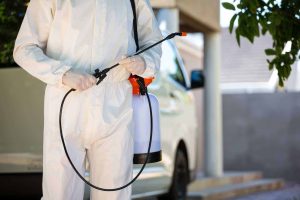 Arizona ants pest control