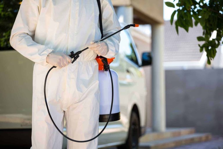 Arizona ants pest control