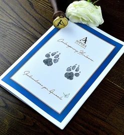 How Pawsome Print Kits Can Strengthen Your Bond with Pets