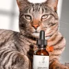 Taking Care of Cats: Considering the Side Effects of CBD Use