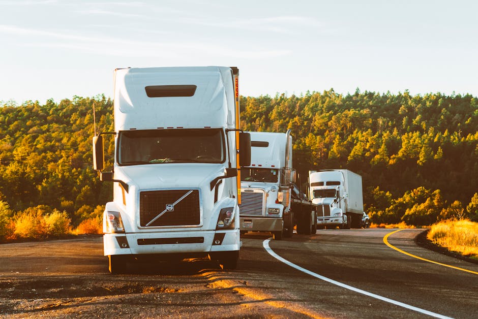 Why you should hire experienced freight forwarders to move your cargo