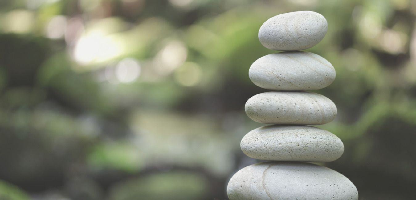 elevate health and wellness